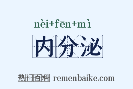 内分泌是什么意思的图片